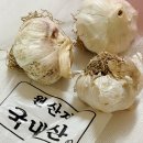 고기한보따리 - 연제구 안연로 33 | 국산햇마늘종 싱싱보따리 의성마늘종 구매후기