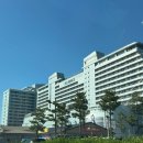 펫살롱지니 | 또 가고싶은 강릉 애견동반 1박2일 일정 세인트존스 숙박,근처 술집 찐후기