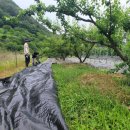 구름다리농장 이미지