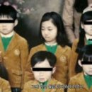 마루이 이미지