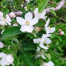 주왕산파크모텔 이미지