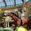 2019-주113 이미지