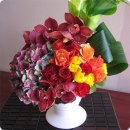 성도 태양광발전소 이미지