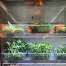 중경해선 훠궈 이미지