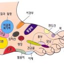발맛사지 Daum카페