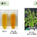 프라임개발㈜ 이미지