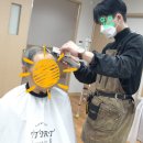 까꼬뽀꼬 이미지