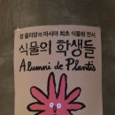 유니스의정원 보타닉하우스 이미지