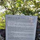 골왓마을방사탑 5호 이미지