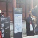 침전 | 창덕궁 가을 단풍 나들이 | 궁궐 전각 무료 해설 투어 희정당 대조전 내부 후기