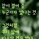 천사섬마린