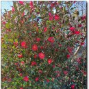 장목면사무소 이미지