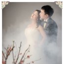 로맨틱한 컨셉~하얀웨딩 김하균 배진하님 전주웨딩 전주예식장 이미지