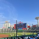 112 | 부산 사직야구장 1루 내야필드석 112블럭 직관 후기
