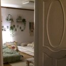 인생학교 봄 | 따뜻한 봄과 개강 후기!