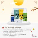 바른네일 레푸스