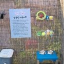 댕숲
