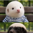 웰와인위스키 네이버블로그