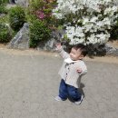 초록마을(과천점) | [아이와가볼만한곳] 과천 서울대공원 동물원