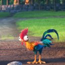 모아나(moana) 이미지