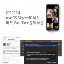 그룹 FaceTime 문제 이미지