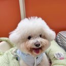 판교매일식당 정자직영점 이미지