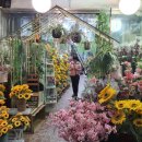 대명4동 행정복지센터 2층 회의실 이미지