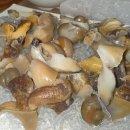 소라당구장 이미지