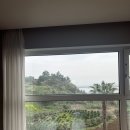 와이리조트 제주 이미지