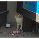 신시도경로당 이미지