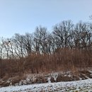 방계리 Daum카페