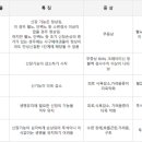 안아픈세상의원 네이버블로그