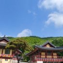 중고개길 이미지