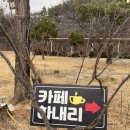 은성로 | 문경 에코월드 대형카페 카페 하내리 내돈내산 솔직후기 | 문경 아기랑 카페