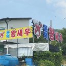 둔덕왕새우
