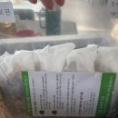 우리한의원 | 임신준비④ ; 30대신혼부부 계획임신시도 배란초음파 태몽?꿈? 경주대추밭백한의원 한약 후기