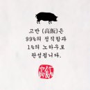고반식당김해 이미지