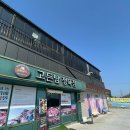 고든남글램핑셀프바베큐 이미지