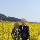 천둥옻오리 이미지