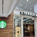 LG 당구장 | 속초고성 델피노리조트 소노벨EAST 내돈내산 솔직후기