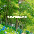 이화피닉스요양병원 | [아산] 내가 가장 좋아하는 파랑수국 천지였던 이화피닉스요양병원(2026/06/29 방문)