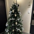 알리스테이 이미지