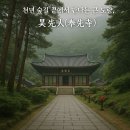 천년숲 이미지