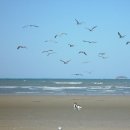 디퍼펜션 이미지