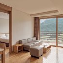 소노캄 델피노 A . B 이미지