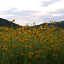 해질무렵 이미지