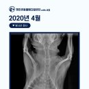 동두천 메디컬 센터 이미지