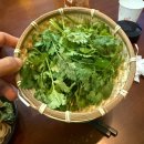 관솔길 | 강원도 강릉 맛집 - &#39;포앤박 강릉 쌀국수&#39; 후기