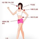 바른척척의원 이미지