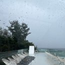 굿 스위밍 | 고성 오션뷰 루프탑카페 “스위밍터틀” 후기